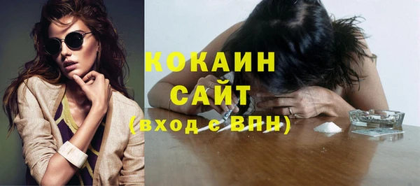 apvp Инсар