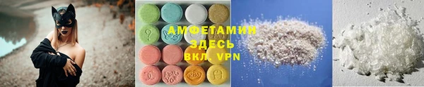 apvp Инсар