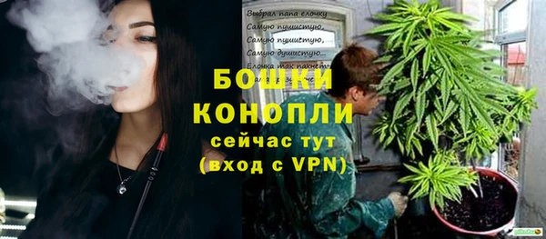 apvp Инсар