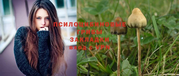 метадон Россошь