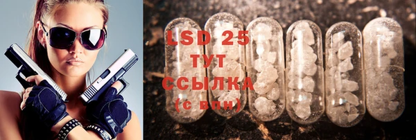 apvp Инсар